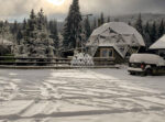 dom-geodezic-lemn-romania-1 (19)
